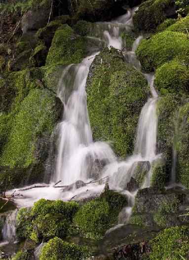 Kodiak waterfall
